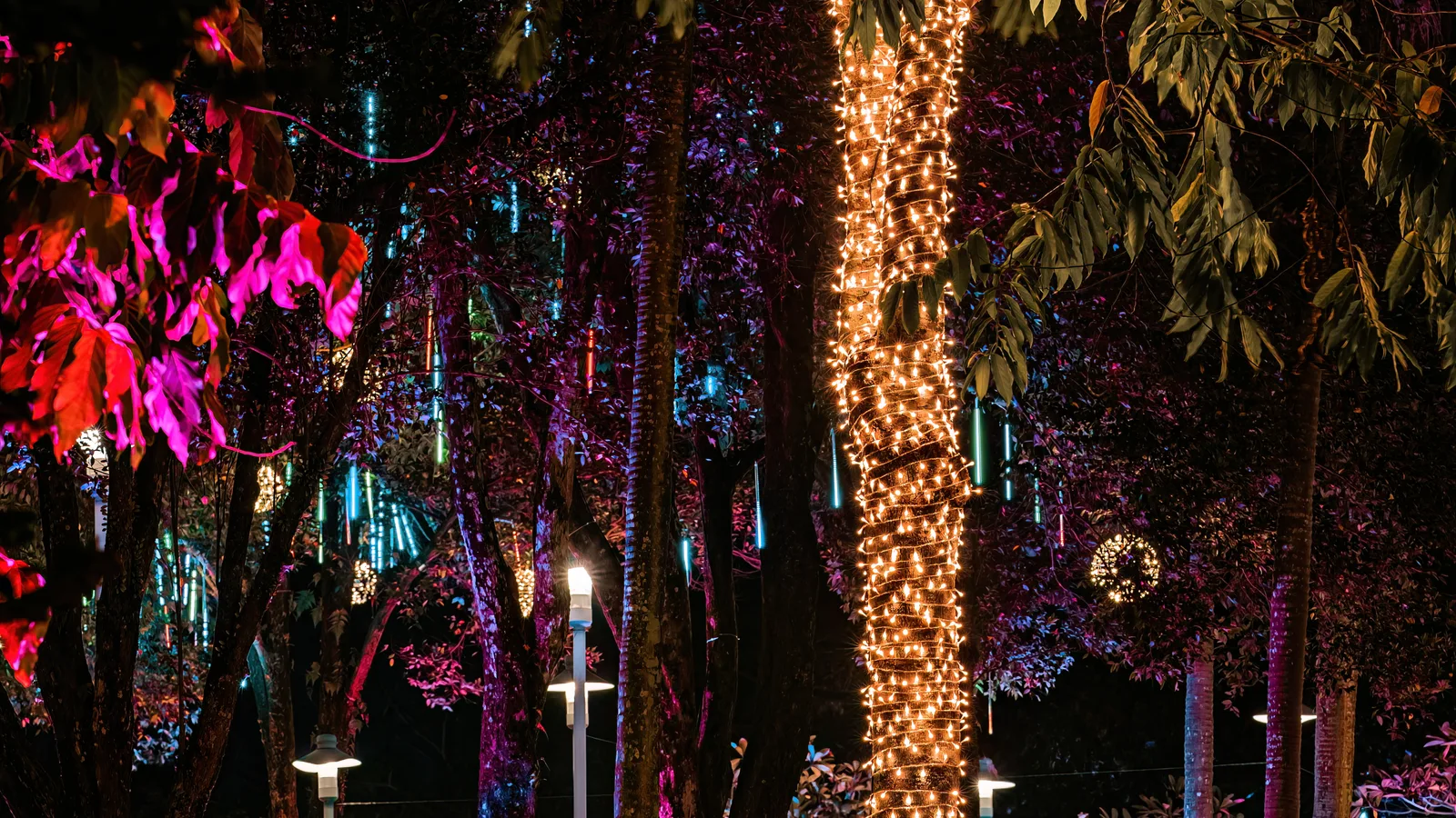 Lightscape Lights Up Brooklyn Botanic Garden Again on Nov. 20, on a New Trail