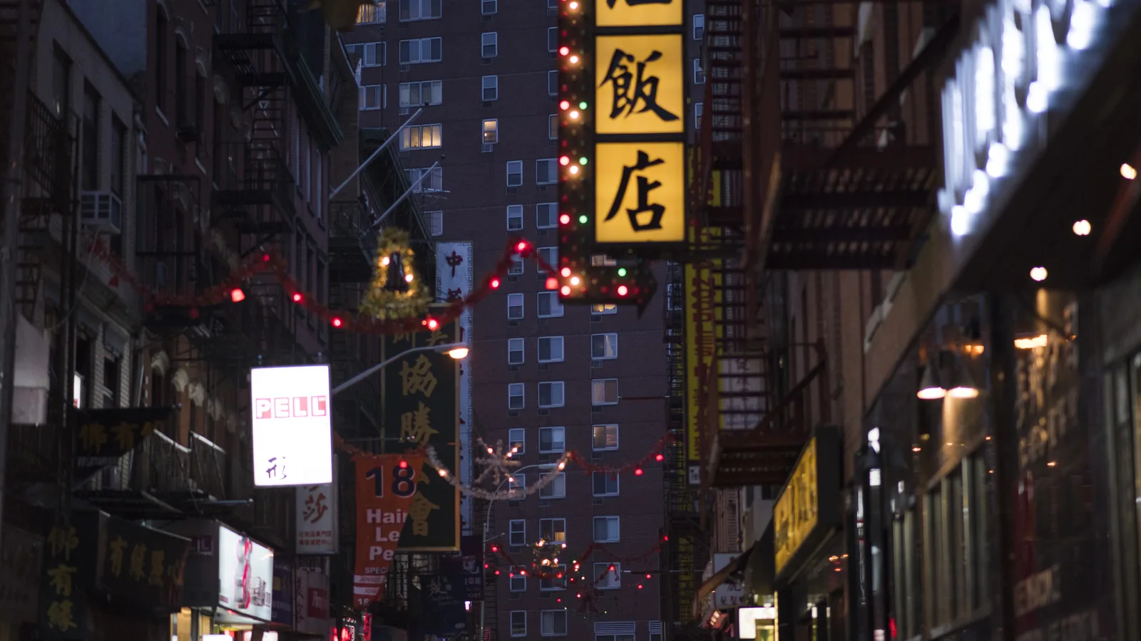 MOCA Launches a Solo Artist Series With Hilda Shen's Ceramics in Chinatown
